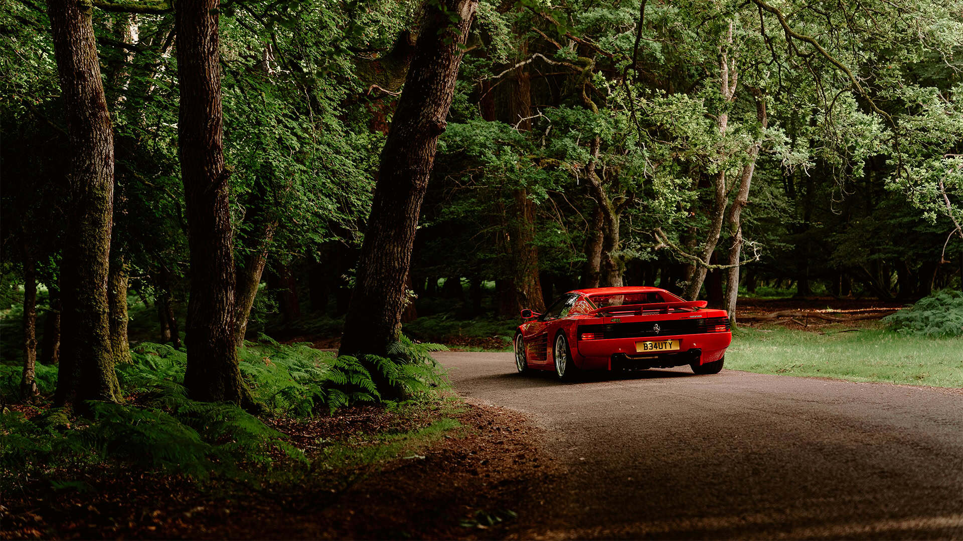 Red Ferrari Testarossa parked on a woodland track, seen from behind